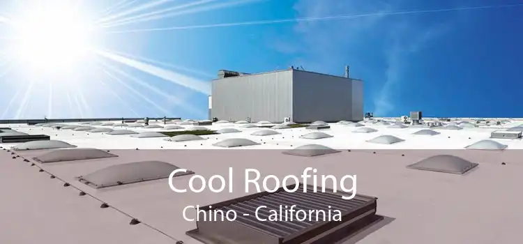 Cool Roofing Chino - California