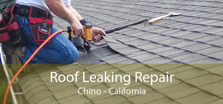 Roof Leaking Repair Chino - California