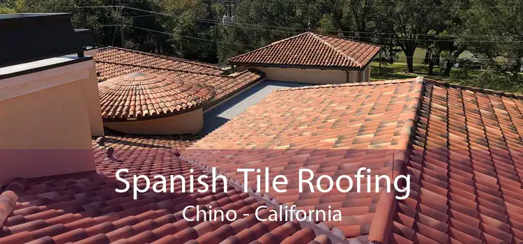 Spanish Tile Roofing Chino - California