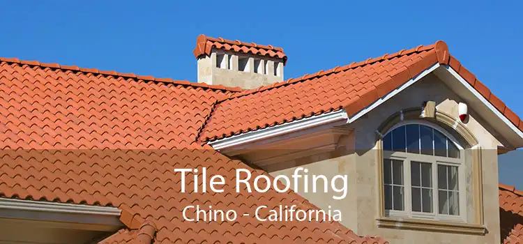 Tile Roofing Chino - California