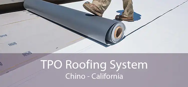 TPO Roofing System Chino - California